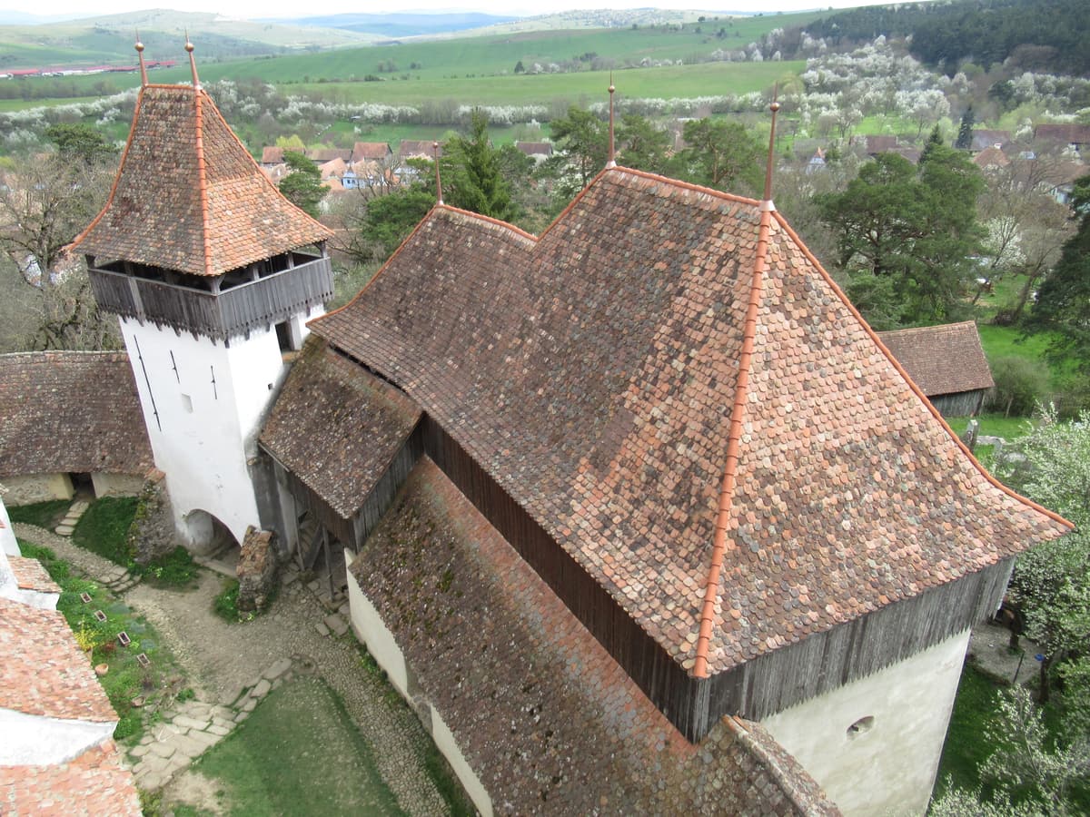 The fortified Saxon church of Viscri with its white tower and tiled roofs